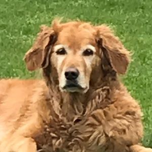 Meet your Posher, Candace